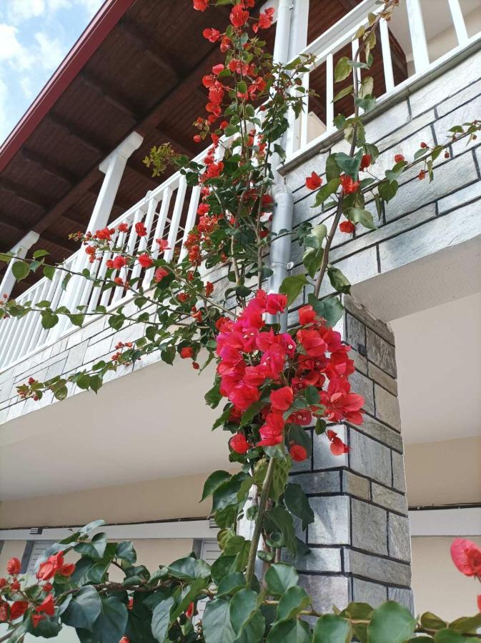 Bella Terra Nature Living อัสโปรวาลตา ภายนอก รูปภาพ